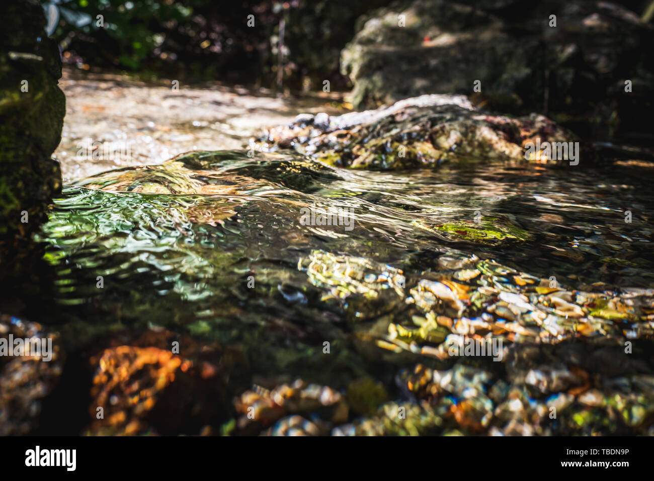 Stream of natural water source at its starting point among rocks in summer Stock Photo