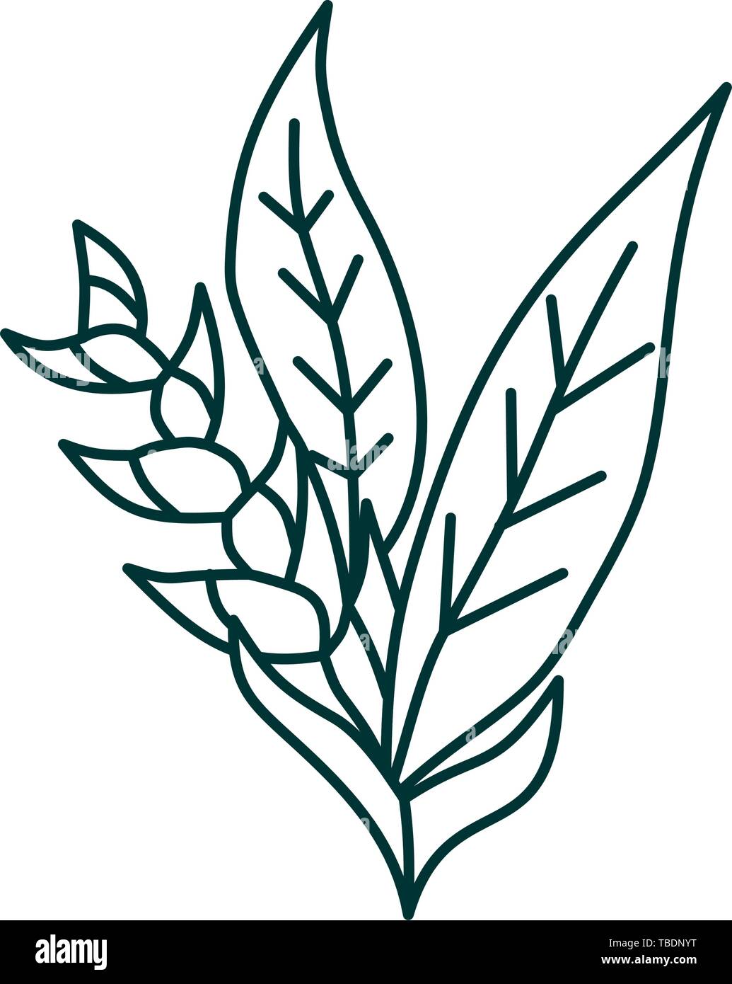 Flower Leaf Illustration Design Template Vector Stock Vector Image ...