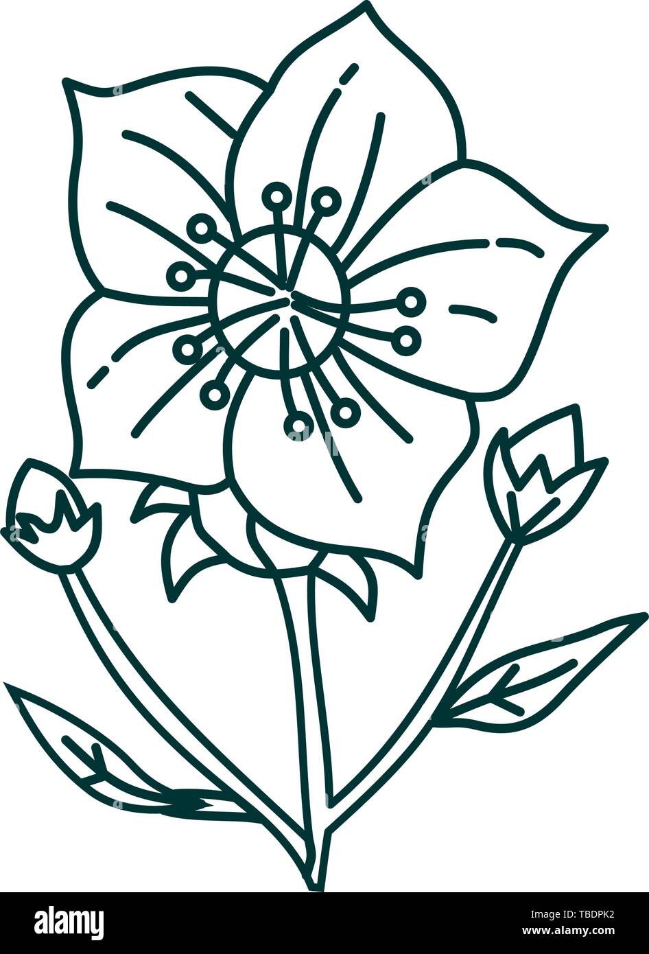 Flower Leaf Illustration Design Template Vector Stock Vector Image ...