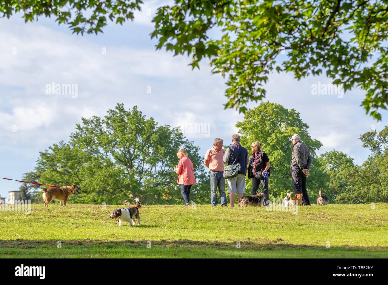 Northampton, Weather. 1st June 2019. Abington Park, warm and sunny for ...