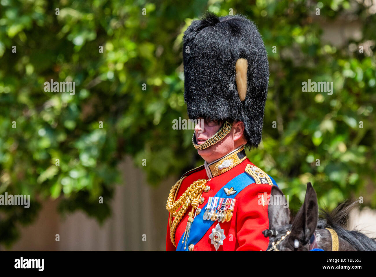 London, UK. 1st June 2019. Prince Andrew returns down the Mall - His Royal Highness the Duke of York reviews the final rehearsal for the Trooping the Colour on Horseguards Parade and the Mall. Credit: Guy Bell/Alamy Live News Credit: Guy Bell/Alamy Live News Stock Photo