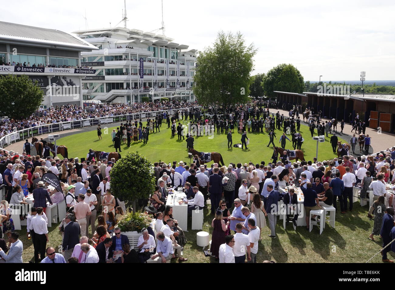 1st June, 2019. Epsom Downs, Surrey, UK  Runners in The Derby parade in the ring prior to the Jockeys mounting up at  the world famous  Investec Derby Festival Credit: Motofoto/Alamy Live News Stock Photo