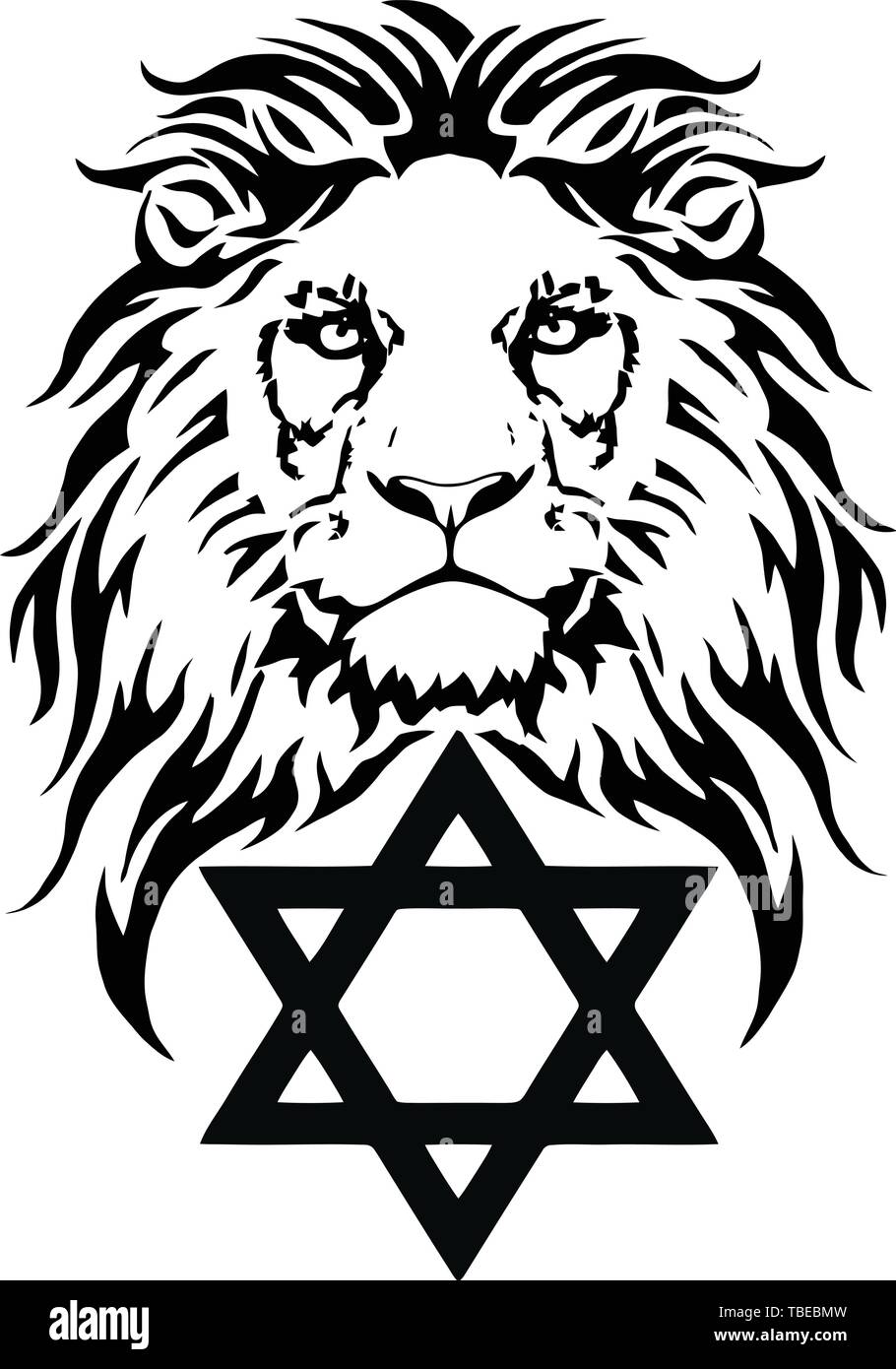 The Lion and the symbol of Judaism - star of David, Megan David, drawing for tattoo, on a white background, vector Stock Vector