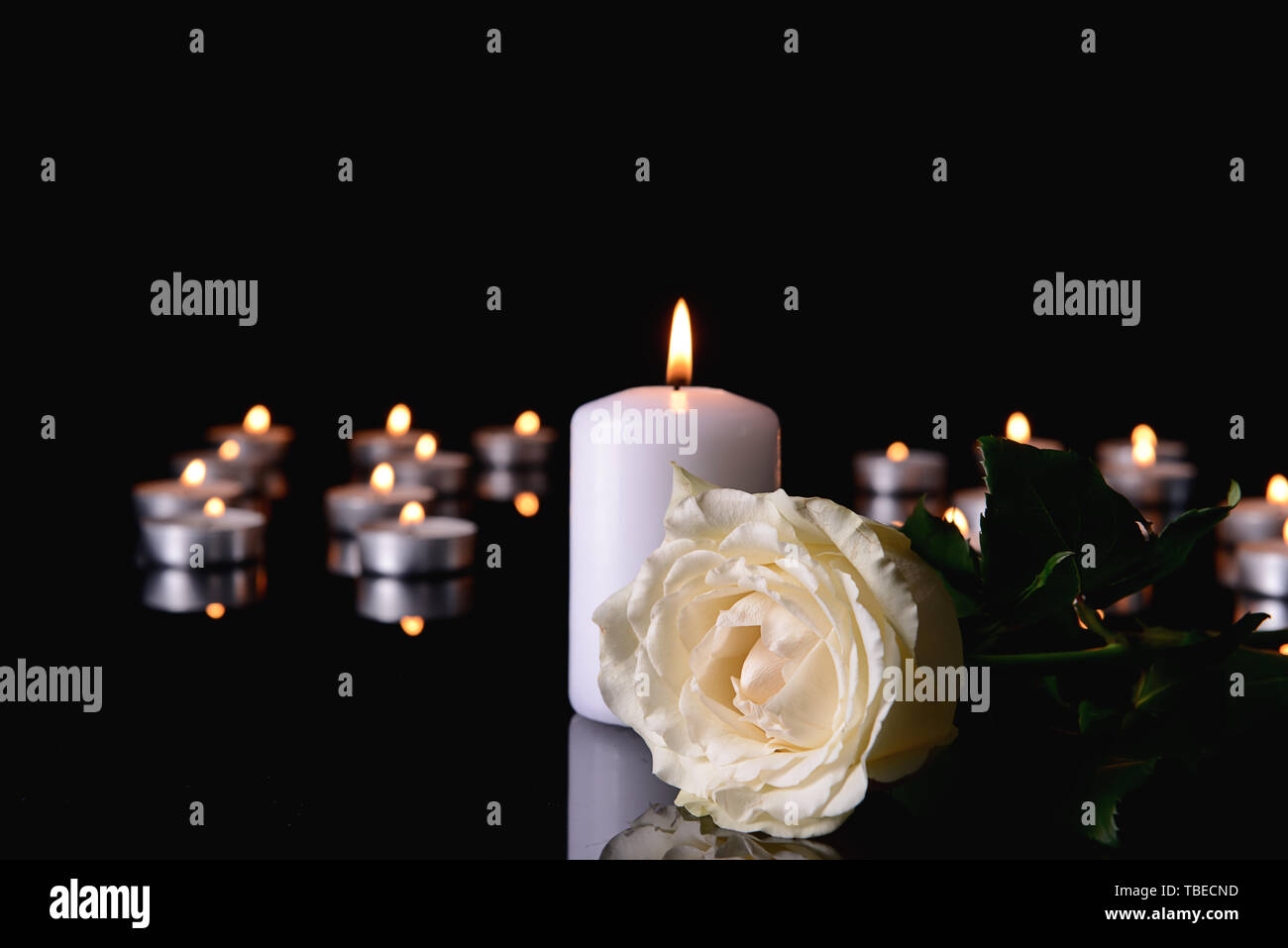 Burning candle and flower on black background Stock Photo