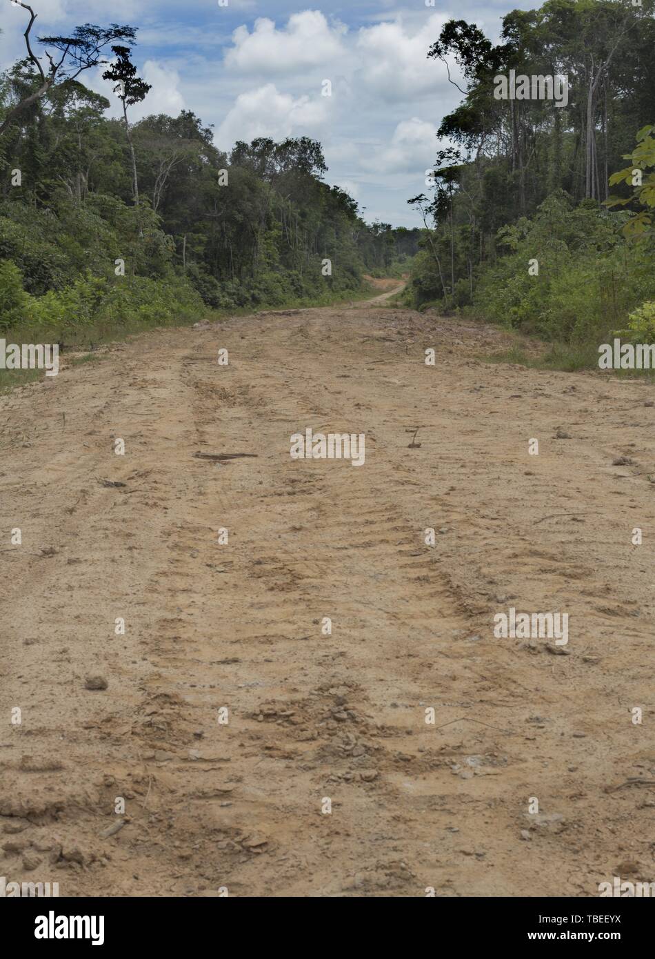 Cleared rain forest for new road, French Guiana Stock Photo