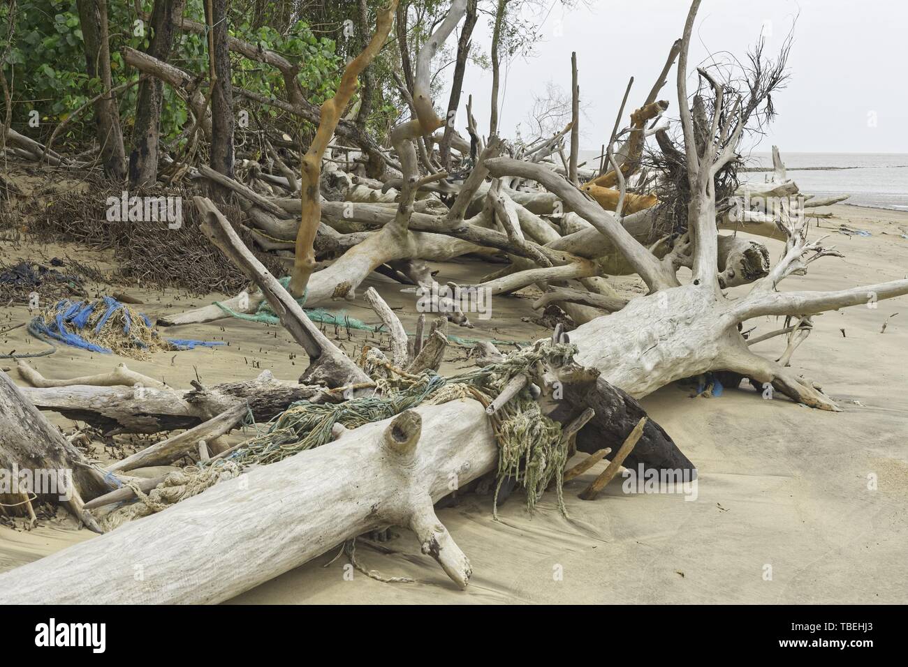 Debris Cayenne River, French Guiana Stock Photo