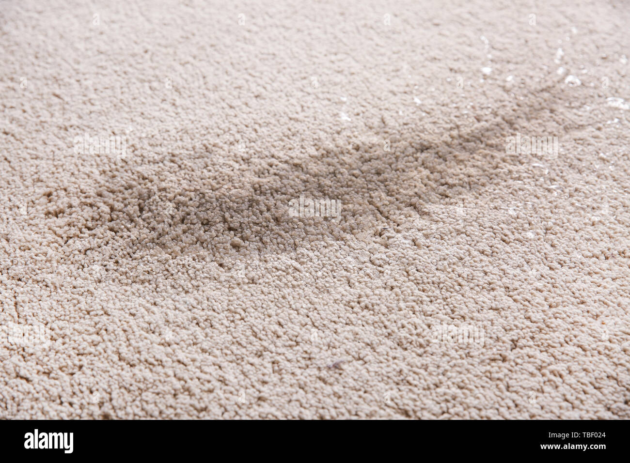 Wet spot on carpet Stock Photo Alamy