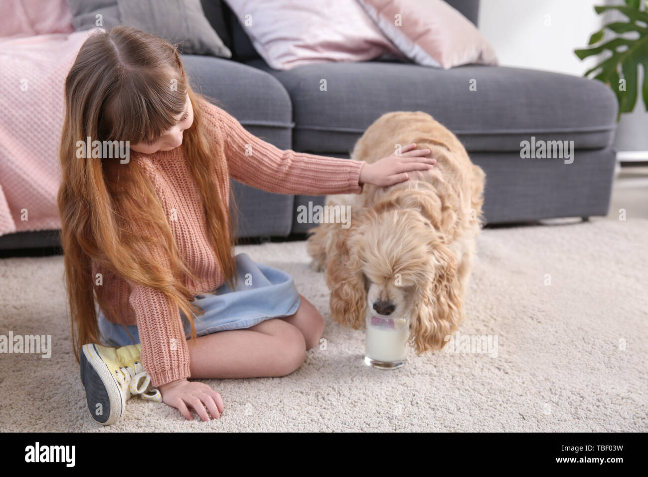 Giving milk to dogs online