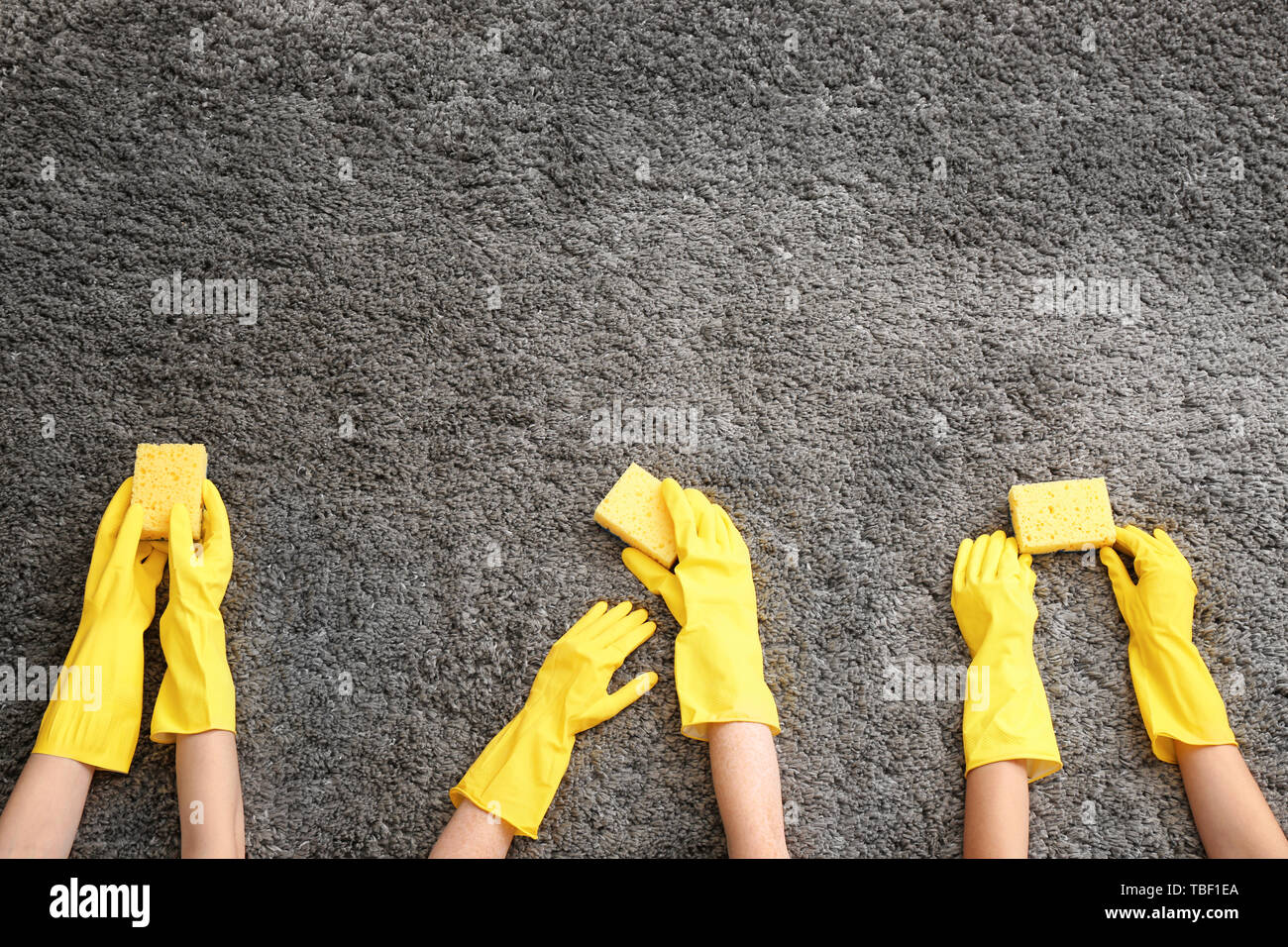 Hands with sponges cleaning soft carpet Stock Photo Alamy