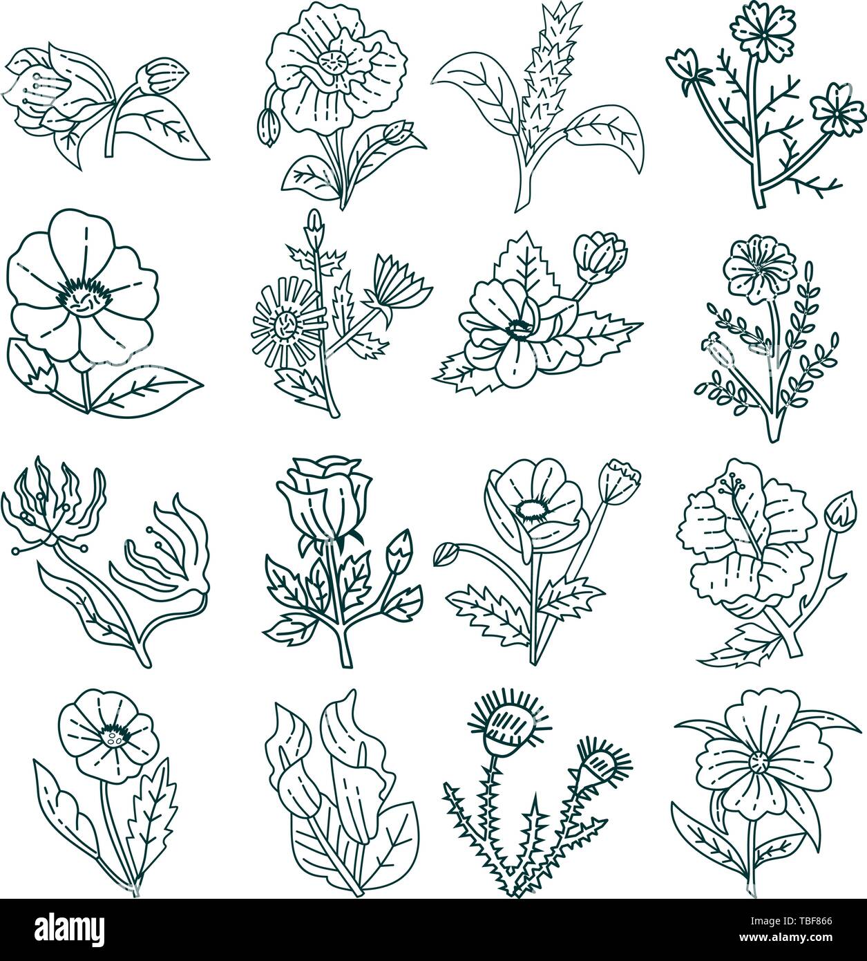 Flower Leaf Illustration Design Template Vector Stock Vector Image ...