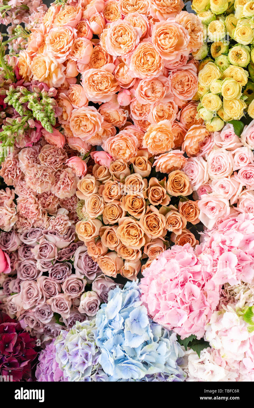 Gorgeous Best Flower Catalogs Image Concept Gorgeous Best Flower Catalogs Image Concept