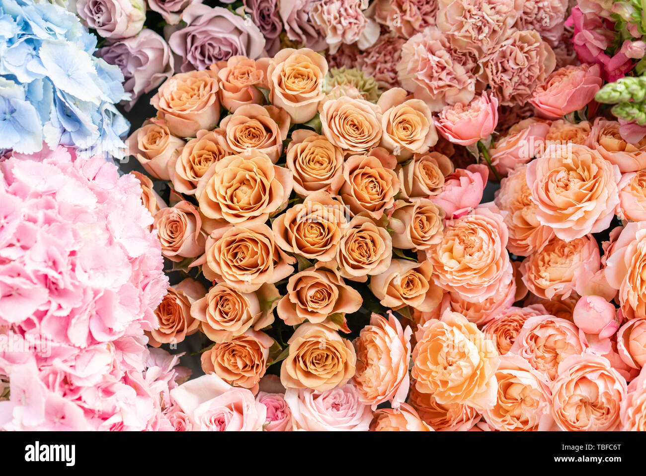 Featured image of post Flower Online Shop Background