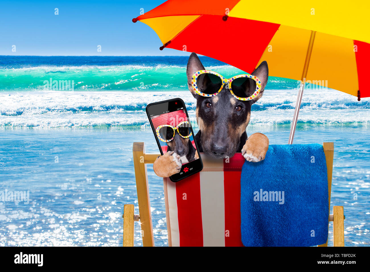 Bull Terrier Umbrella - Blue Bull Terrier Umbrella - Blue