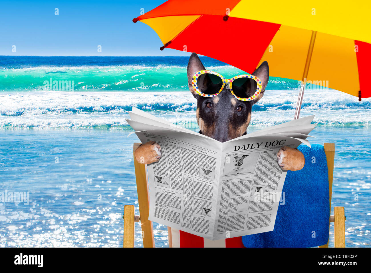 Bull Terrier Umbrella - Tan Bull Terrier Umbrella - Tan