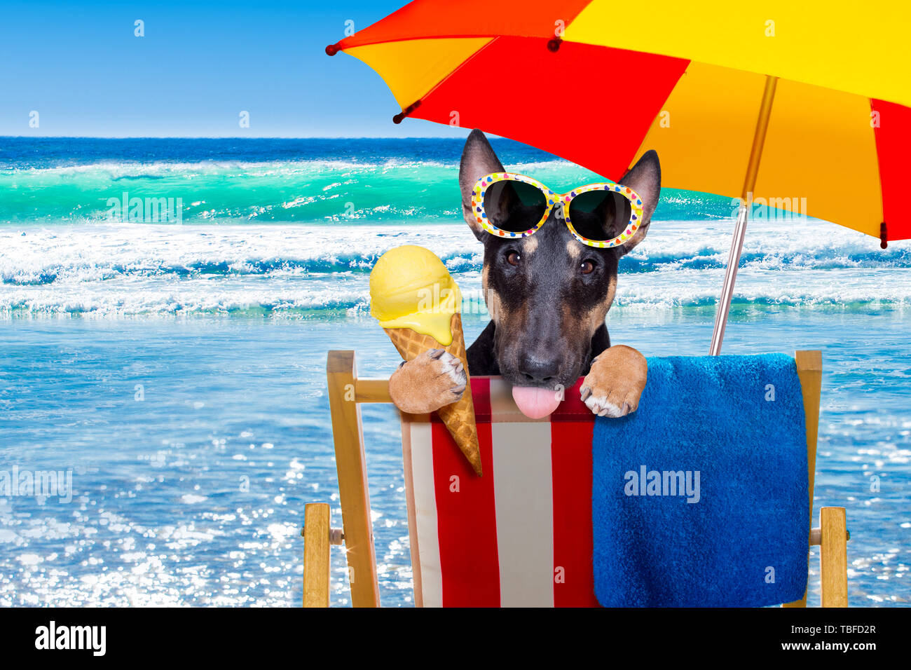 Bull Terrier Umbrella - Blue Bull Terrier Umbrella - Blue