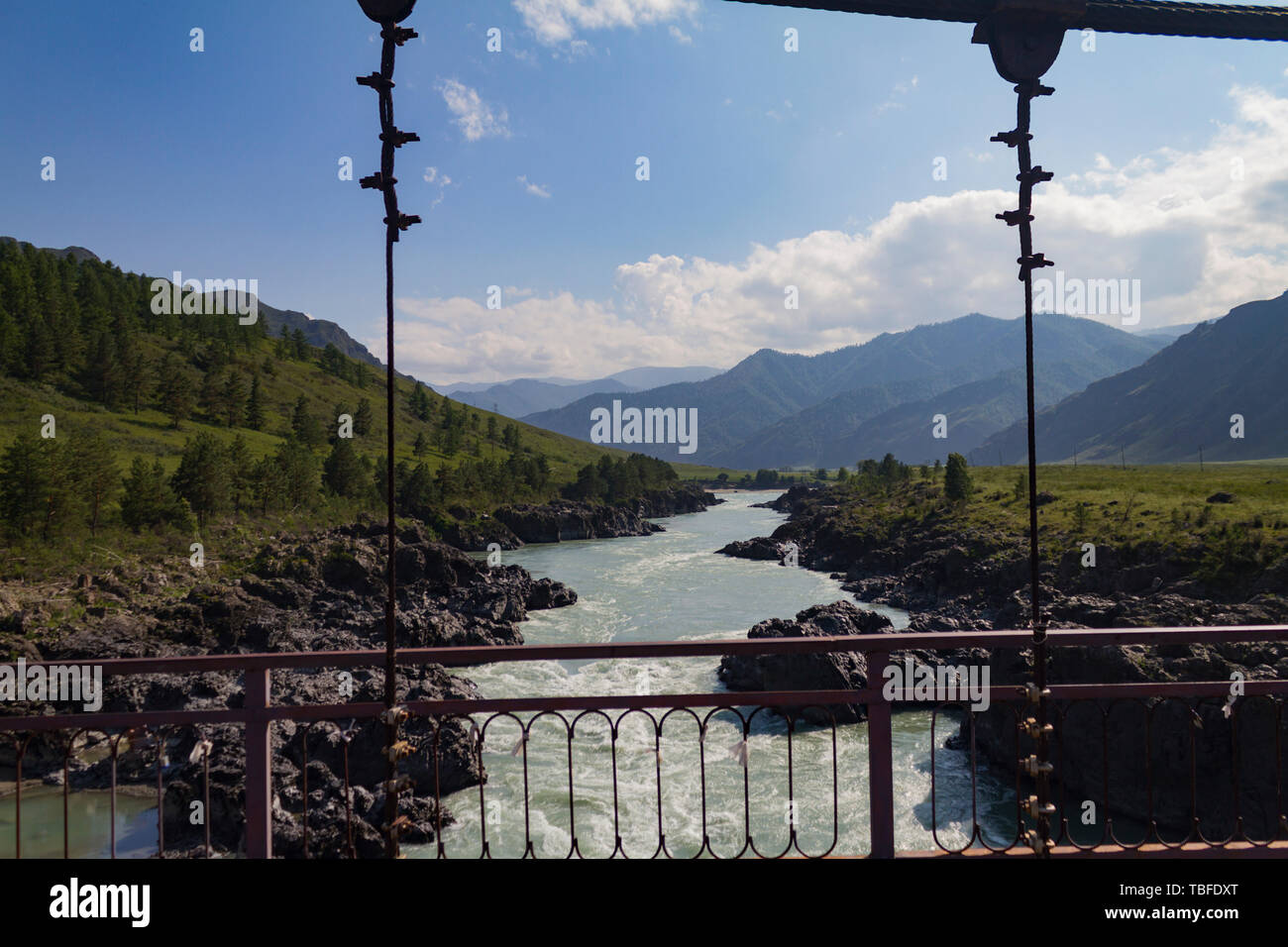 Katun river stream in Altai mointain, view from the bridge. Sunny summer day. Can used for promotion, ad, greeting card, invitation, poster, article,  Stock Photo