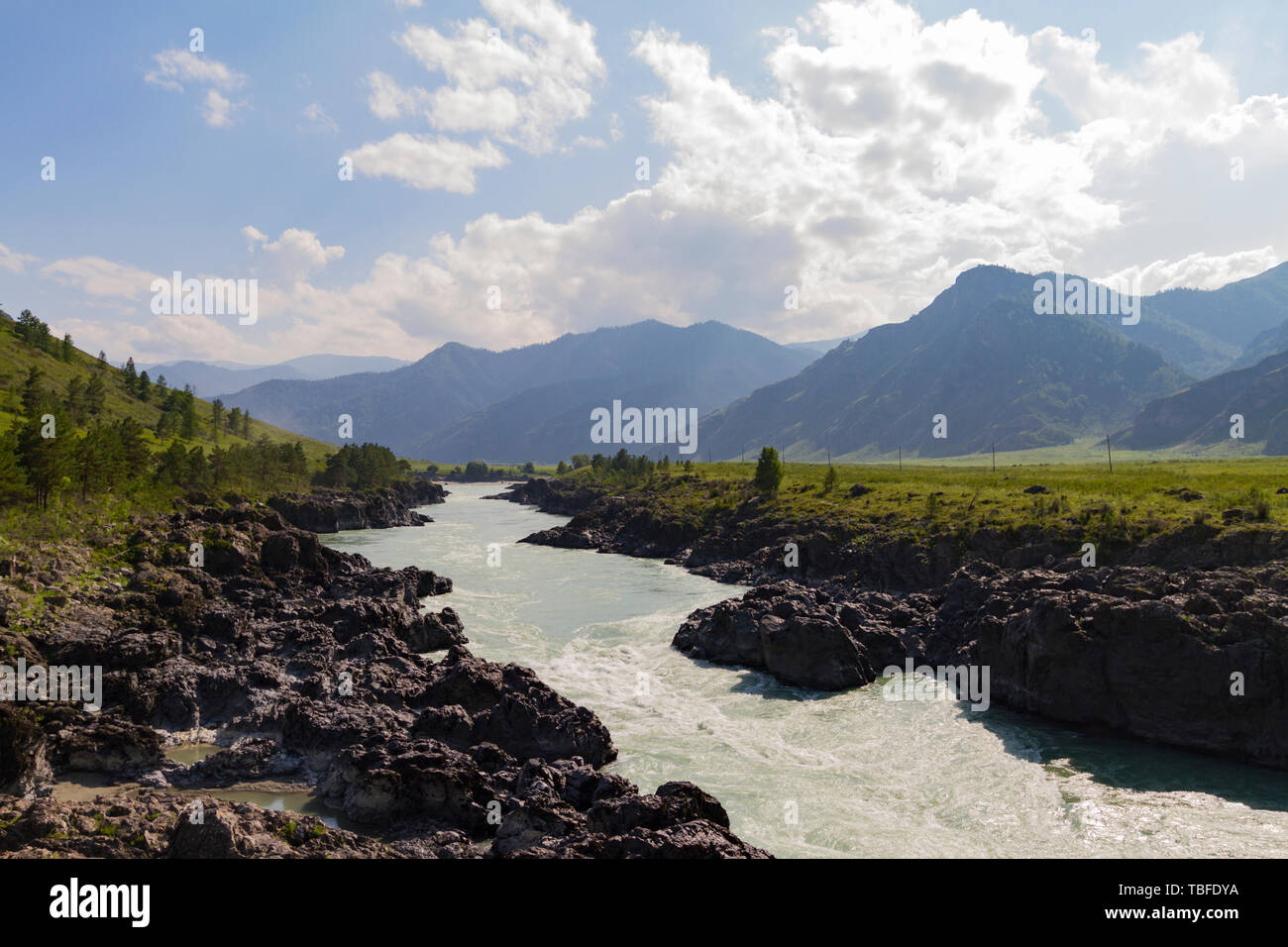 Turquoise Katun. River stream in Altai mointain. Sunny summer day. Can used for promotion, ad, greeting card, invitation, poster, article, wallpaper,  Stock Photo