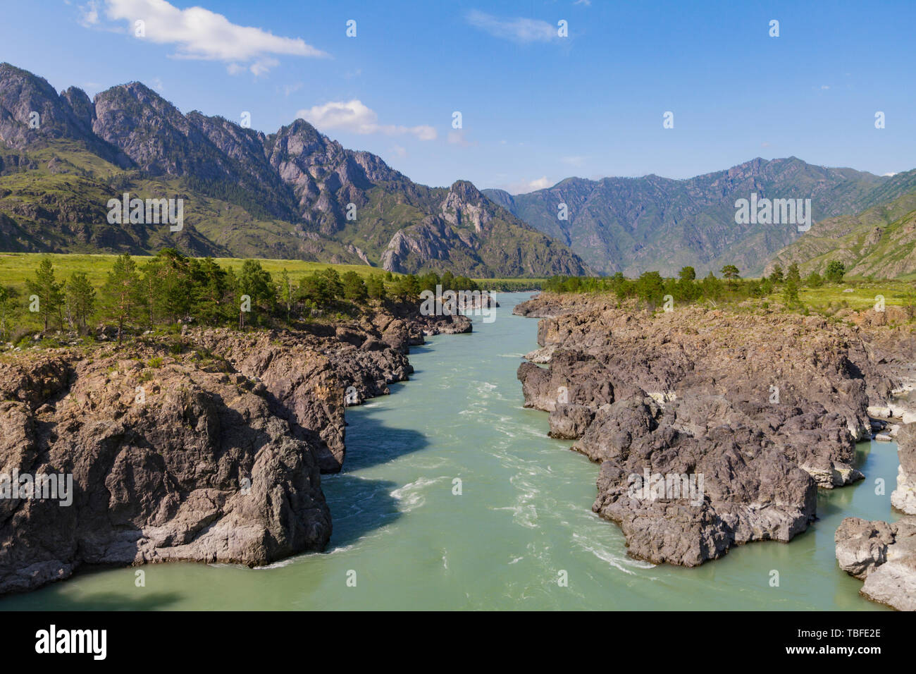 Turquoise Katun. River stream in Altai mointain. Sunny summer day. Can used for promotion, ad, greeting card, invitation, poster, article, wallpaper,  Stock Photo