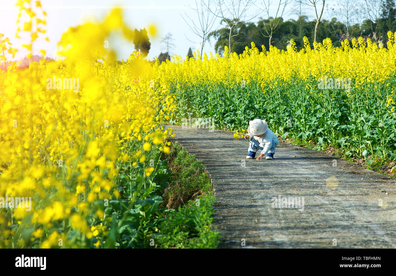 Children community garden hi-res stock photography and images - Alamy