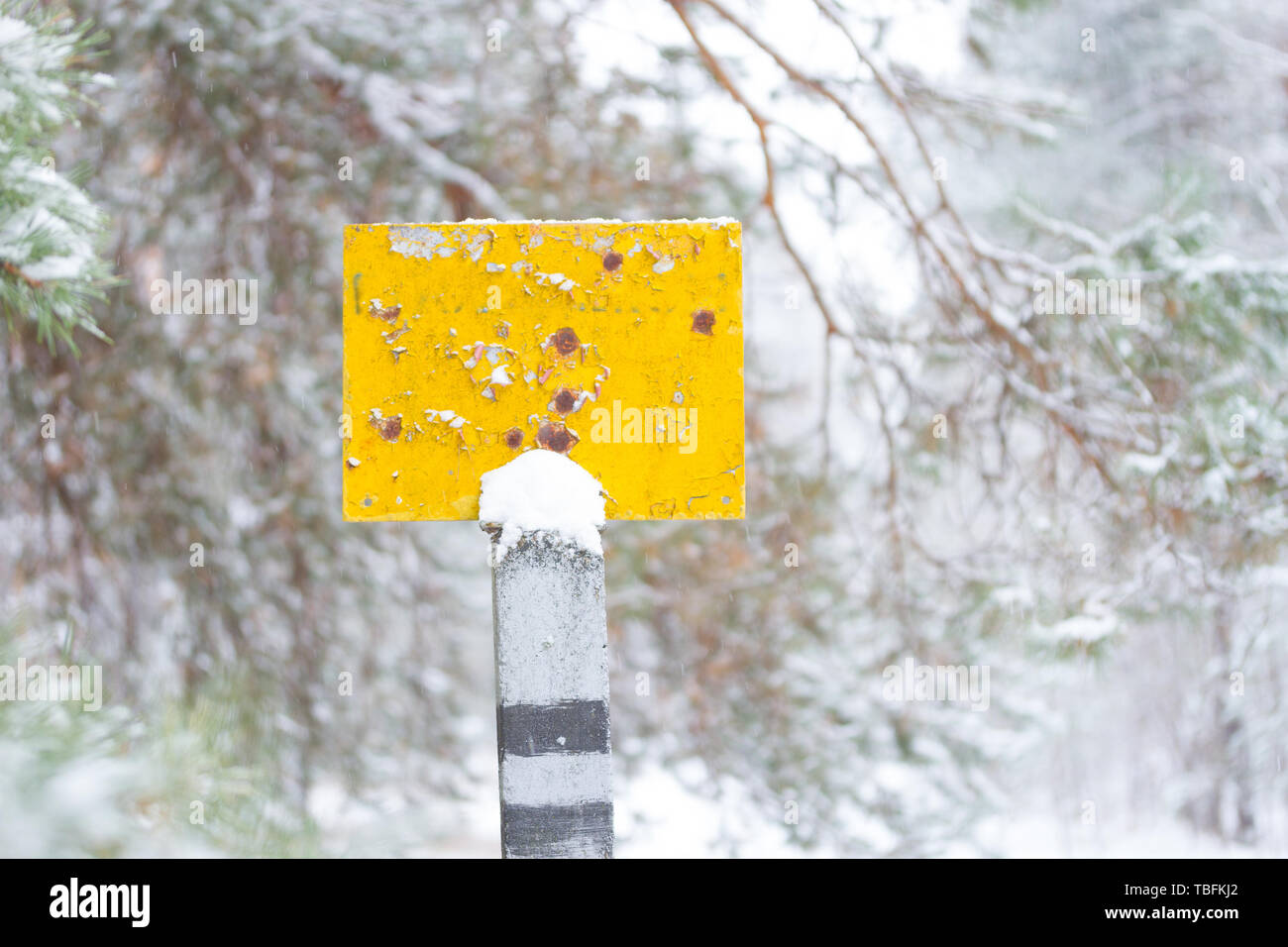 A null old pointer in a forest in winter Stock Photo - Alamy