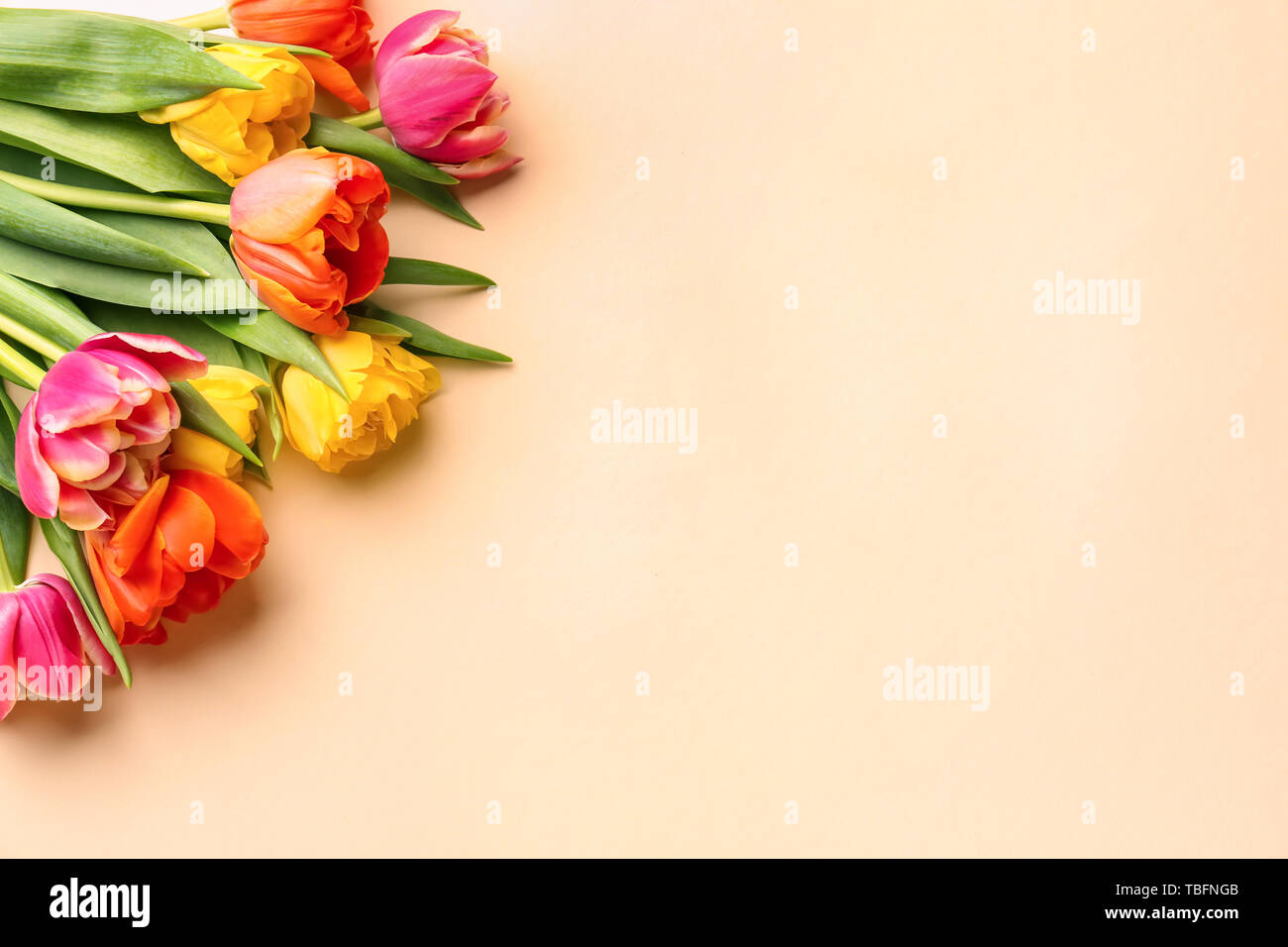 Beautiful tulip flowers on color background Stock Photo Alamy