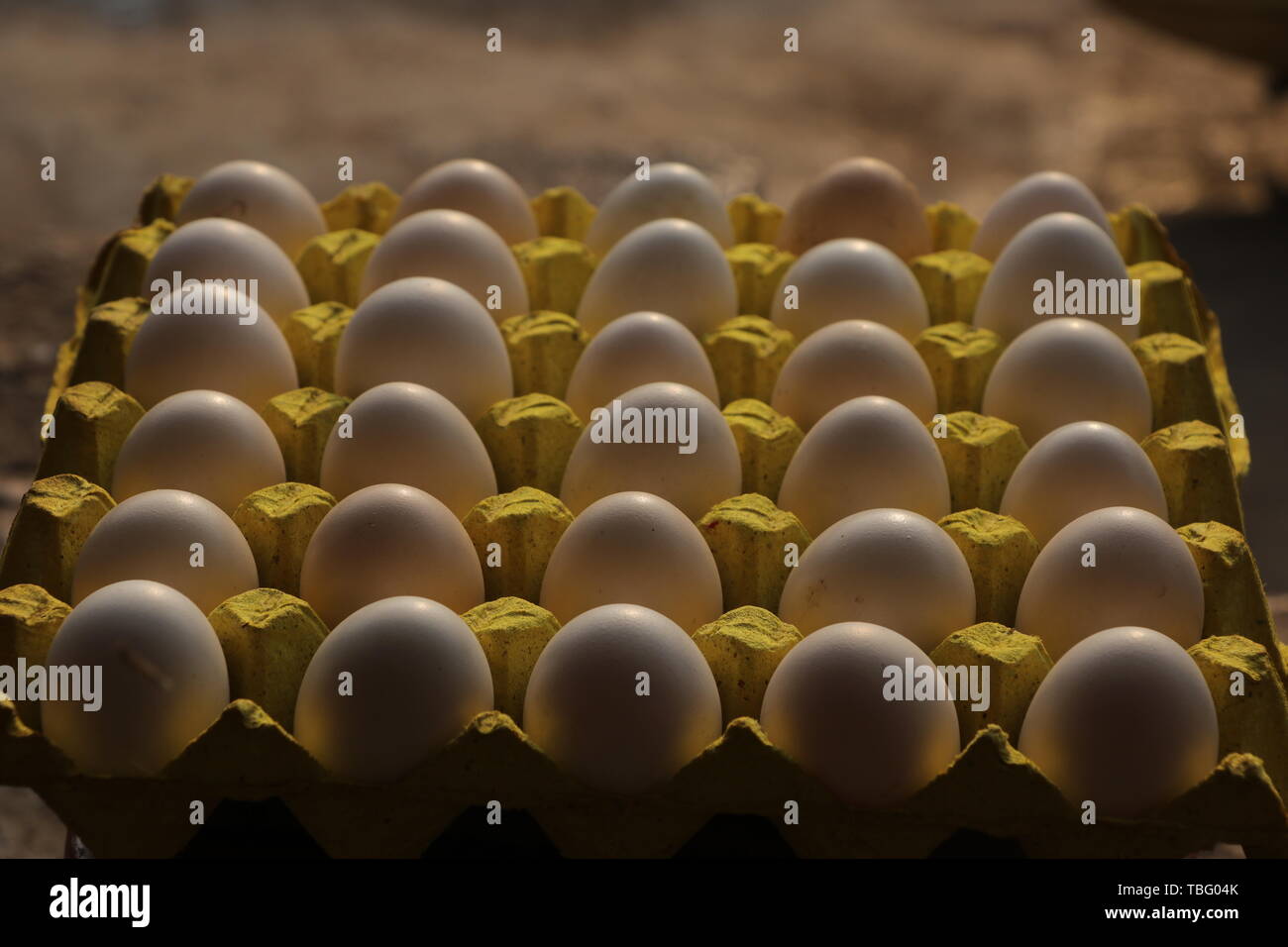 Pure earth eggs Stock Photo Alamy