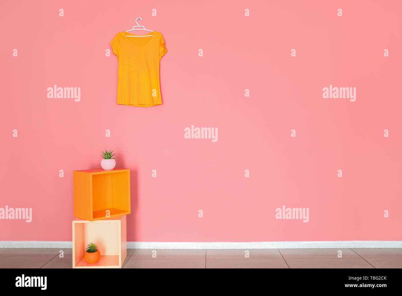 Shelves with plants and female clothes hanging on color wall in room ...