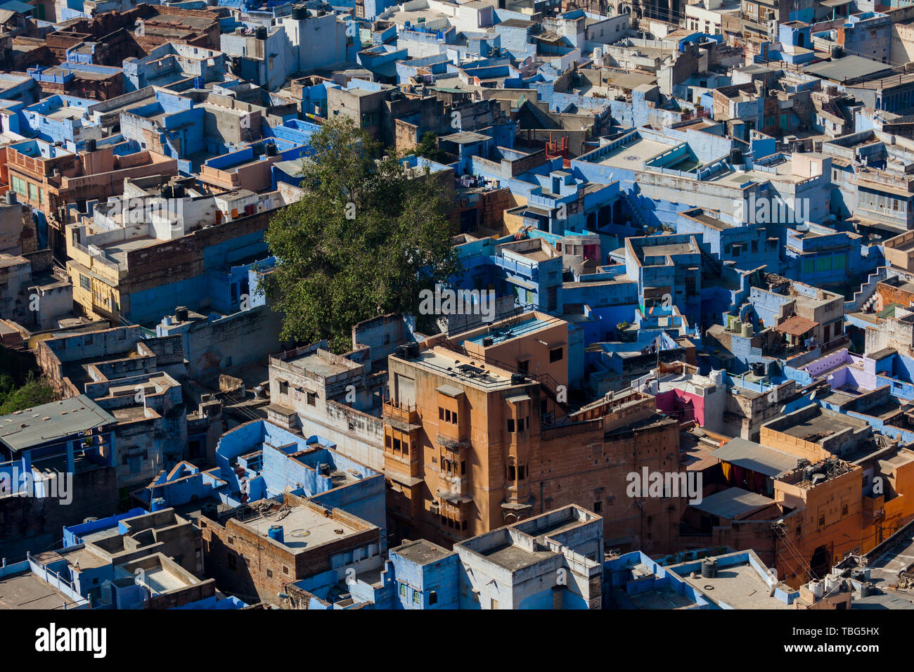 Rooftops of the blue city of Jodhpur Stock Photo