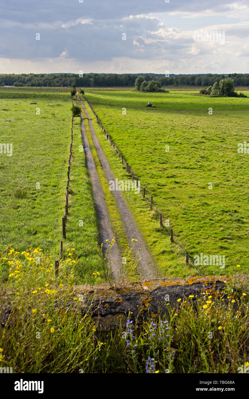 A country road and fields seen from above, flowers on an old bridge in the foreground. Stock Photo
