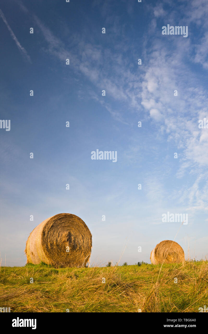Two hay bales on a field with a lot of blue sky Stock Photo - Alamy
