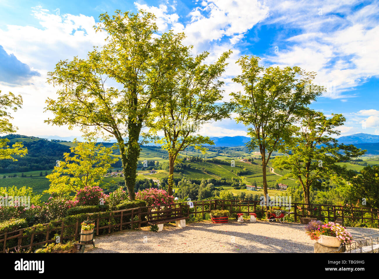 Slovenia italian border vineyard hi-res stock photography and images ...