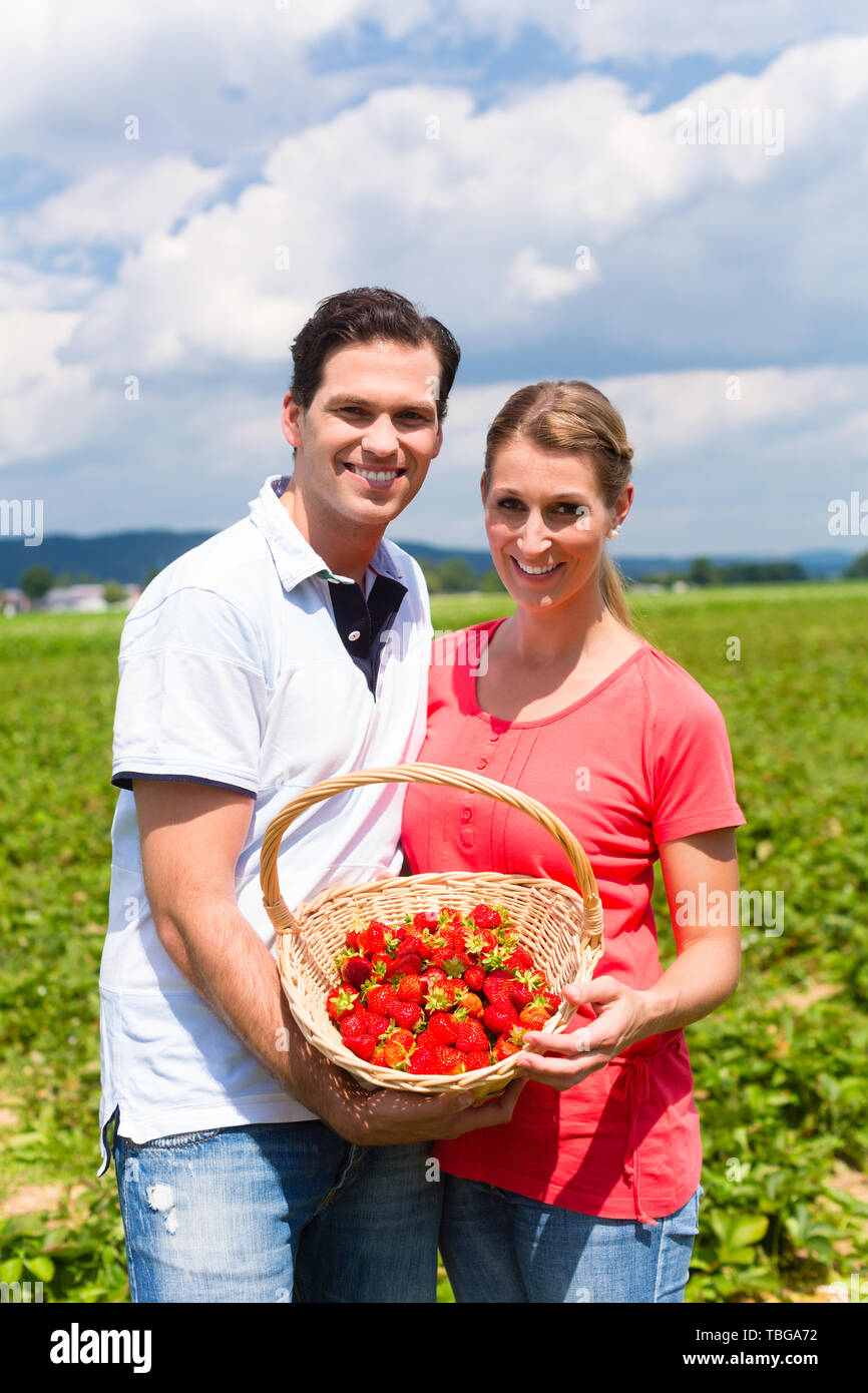 Strawberry picking field woman hi-res stock photography and images - Alamy