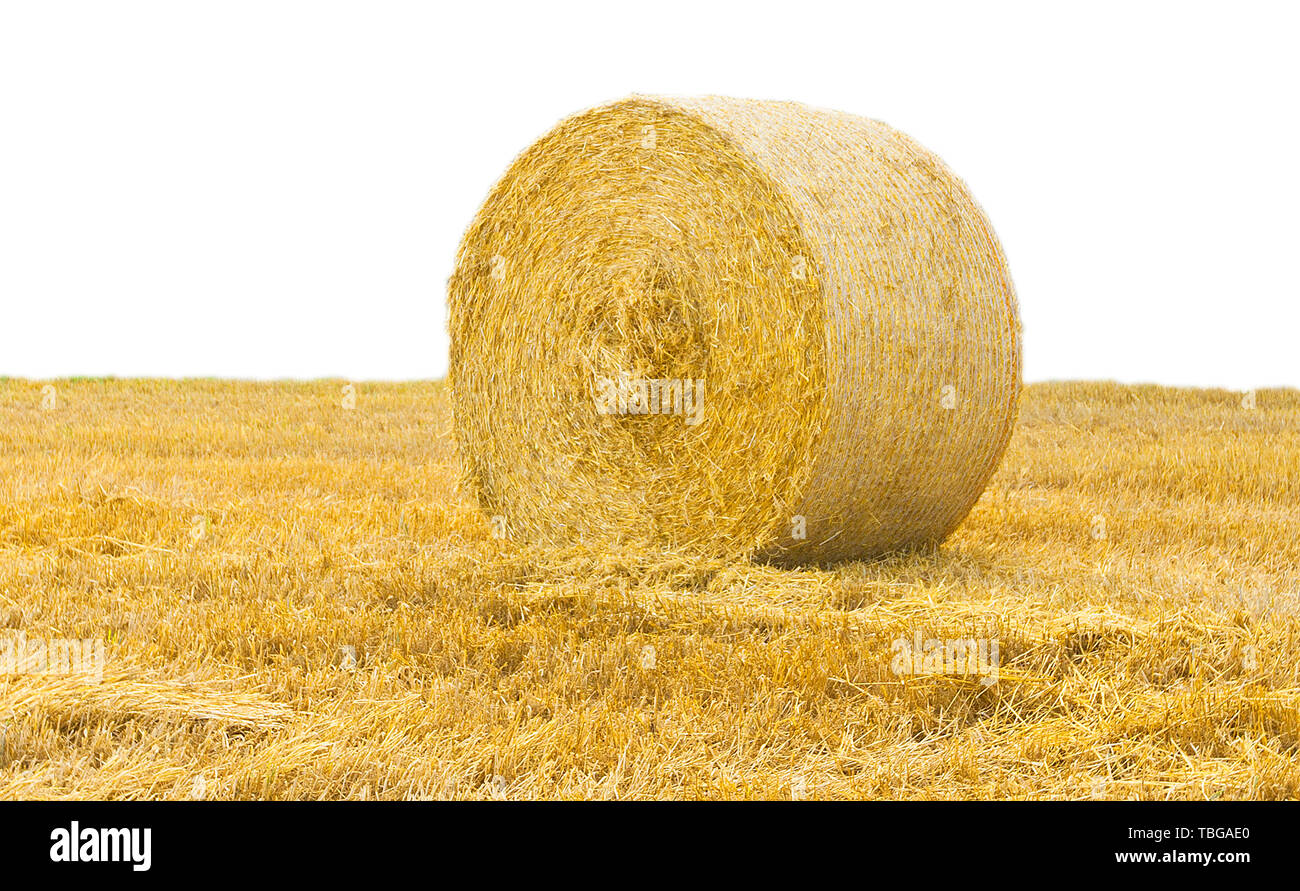 Straw ball isolated on white background Stock Photo - Alamy