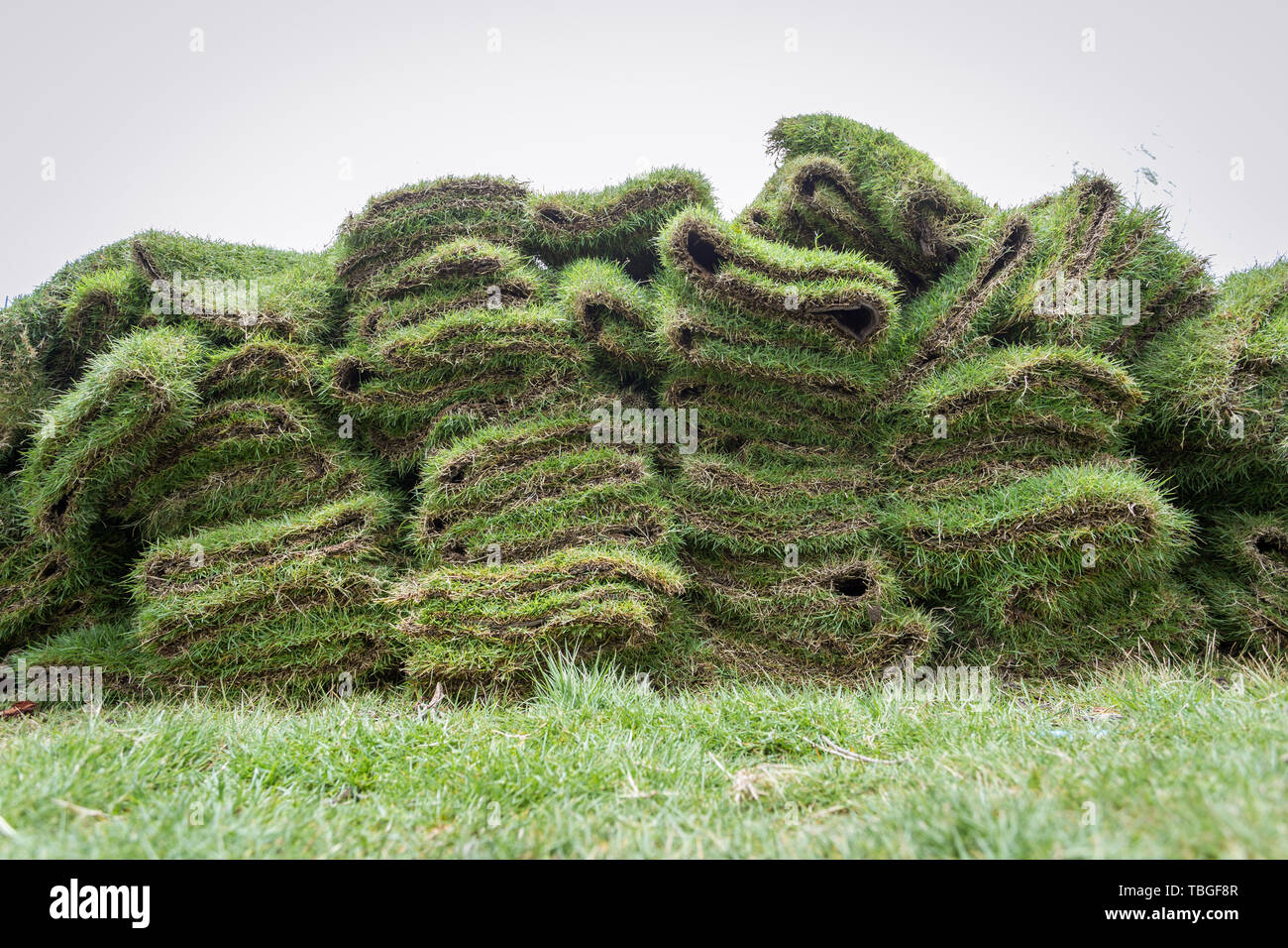 heap of natural grass turfs for garden installing Stock Photo