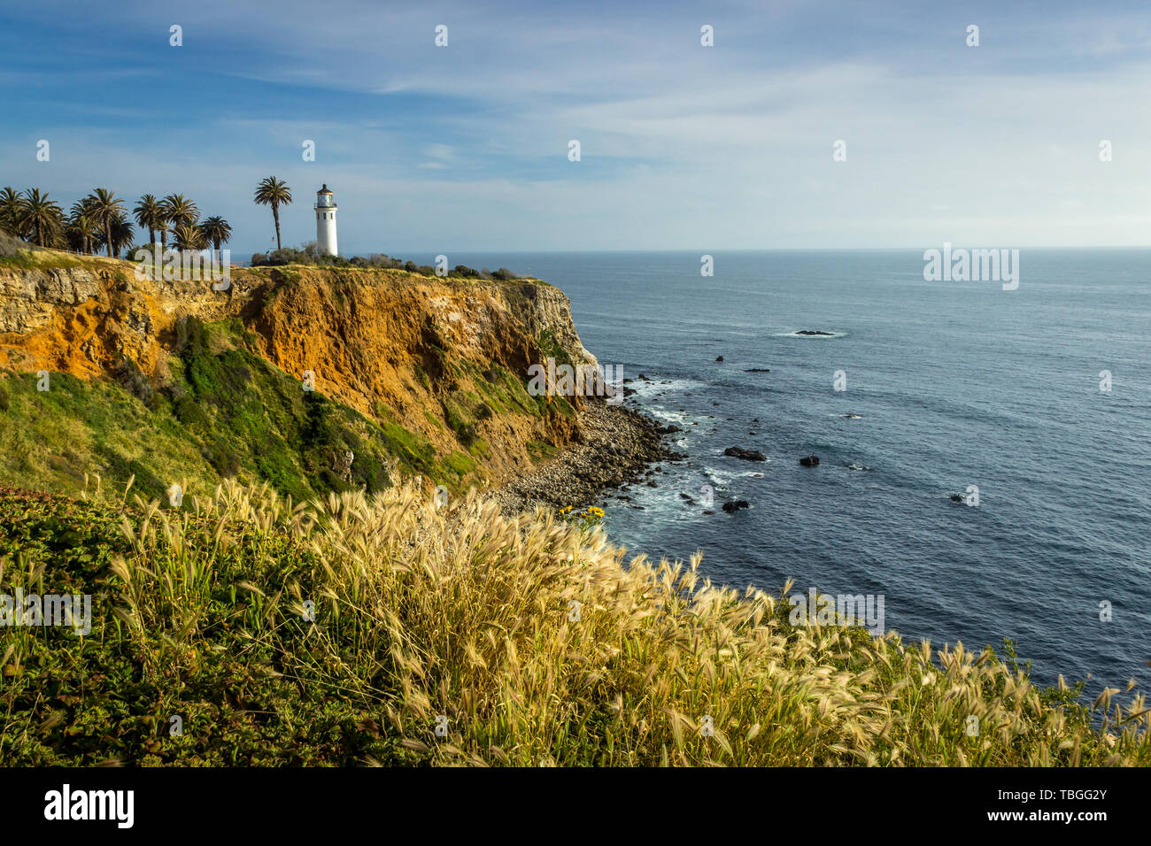 Point Vicente Lighthouse atop of tall cliff covered with beautiful wildflowers during the California Super Bloom of 2019, Rancho Palos Verdes, Califor Stock Photo