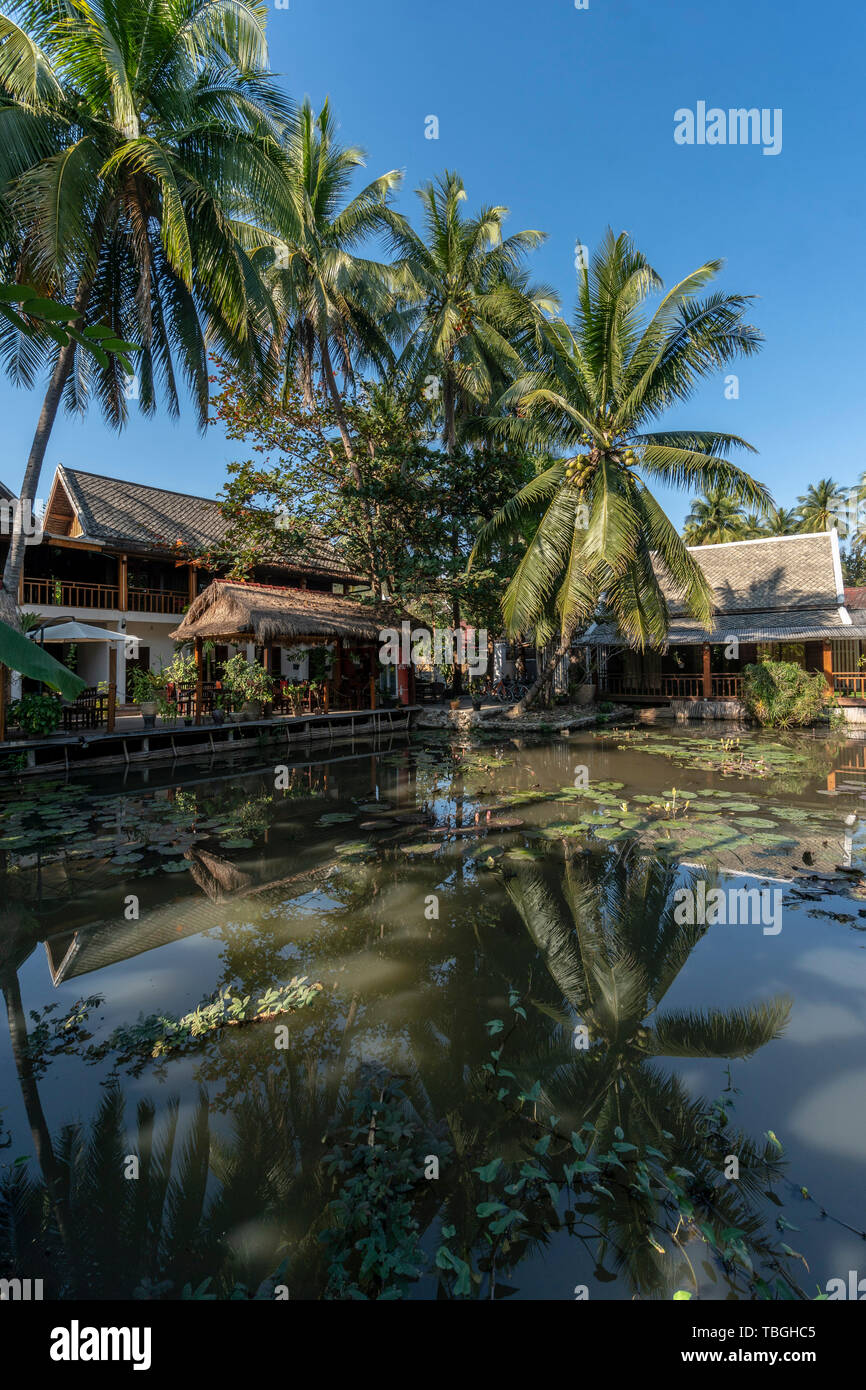 Hotel Resort , Villa Oasis, lagoon with palm trees, Luang Prabang , south east asia Stock Photo