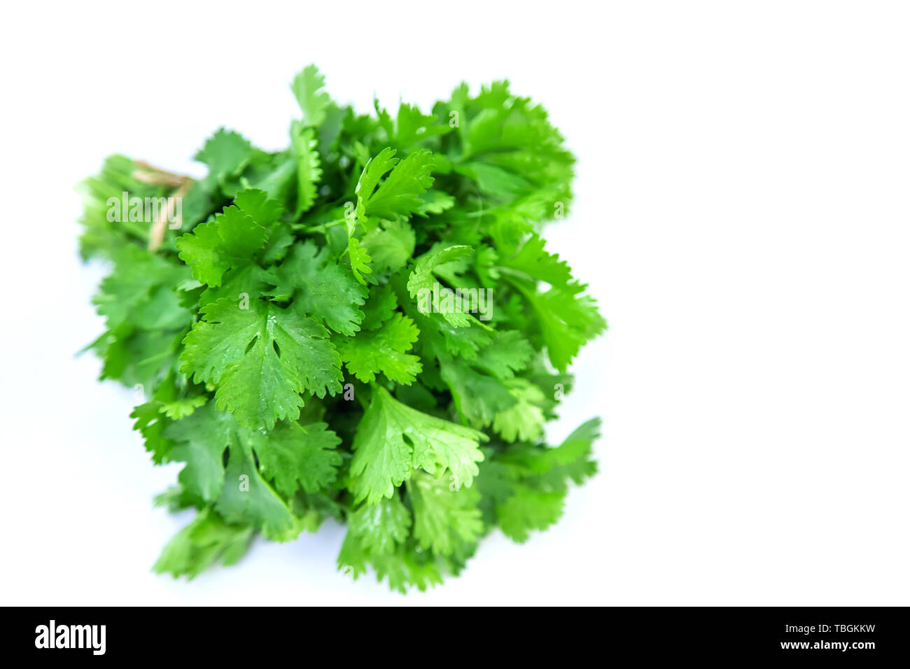 Fresh homemade greens from the garden. Isolate Selective focus. nature. Stock Photo