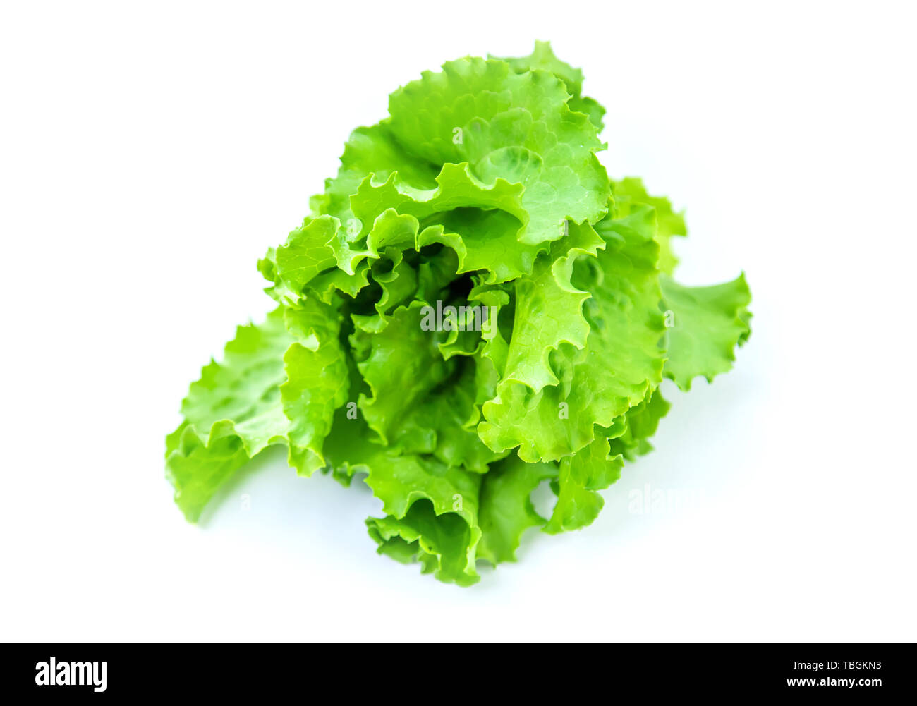 Fresh homemade greens from the garden. Isolate Selective focus. nature. Stock Photo