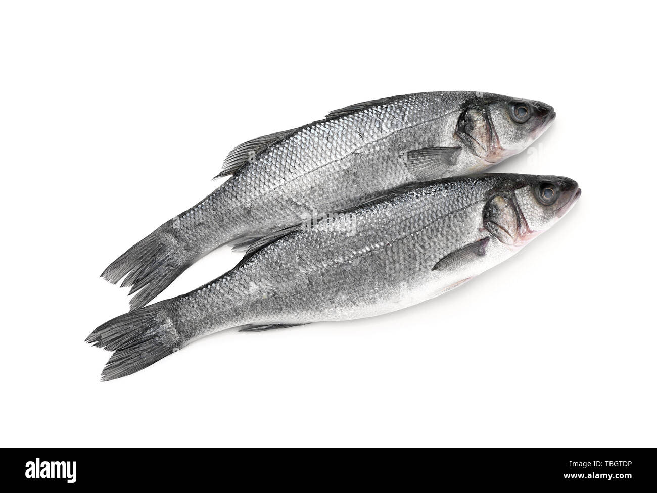 Fresh sea bass fish on white background Stock Photo - Alamy