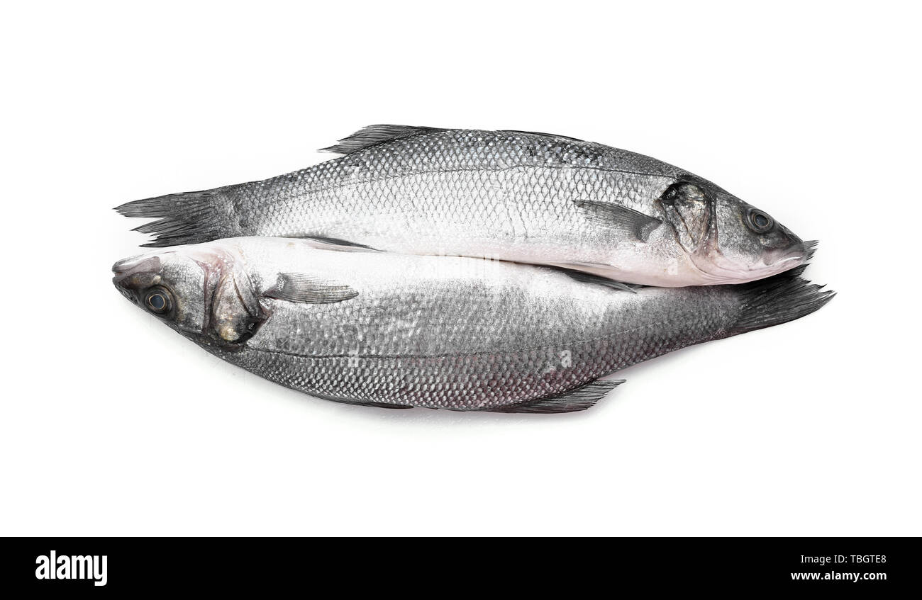Fresh sea bass fish on white background Stock Photo - Alamy
