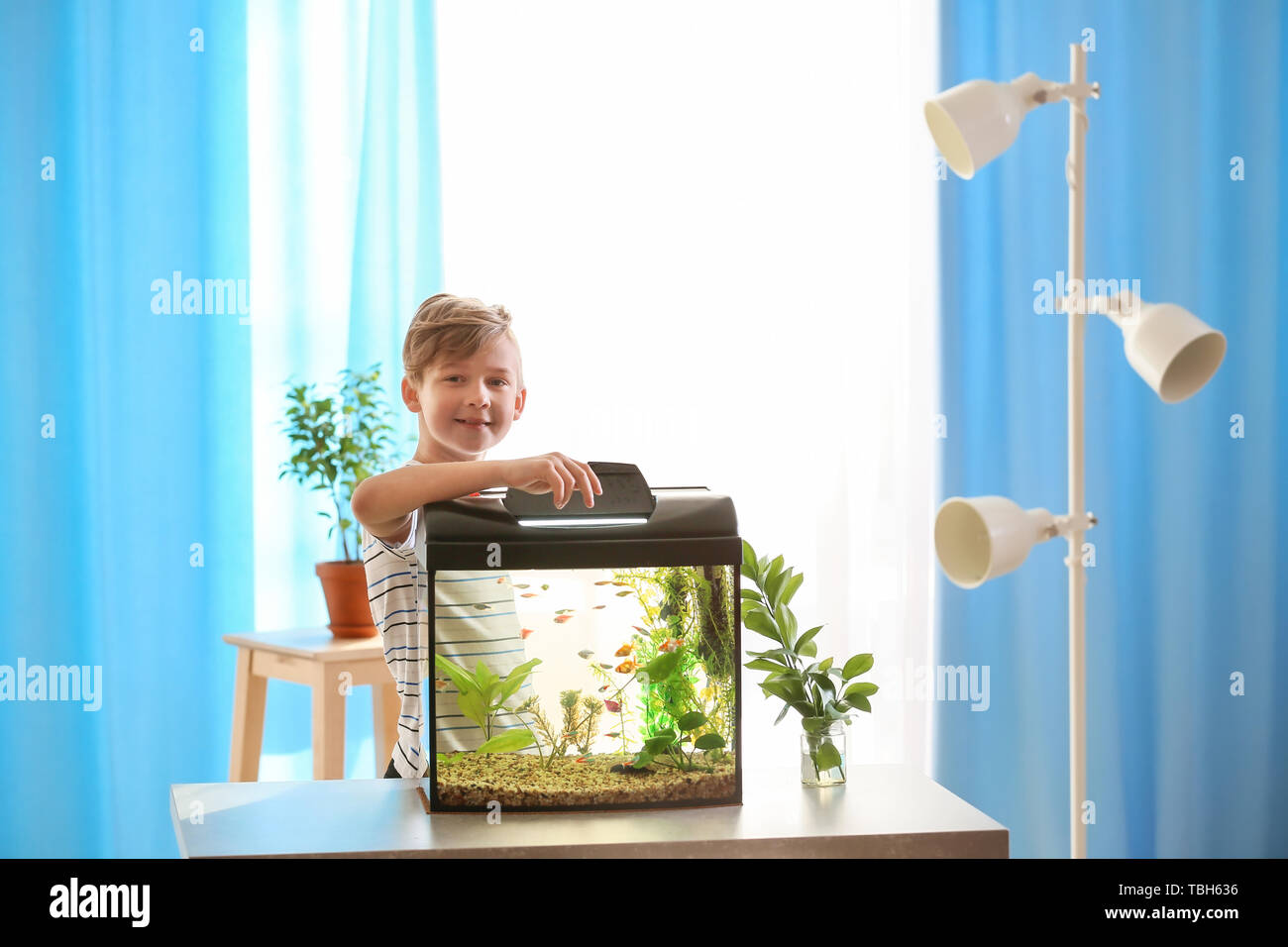 Cute little boy feeding fish in aquarium Stock Photo - Alamy