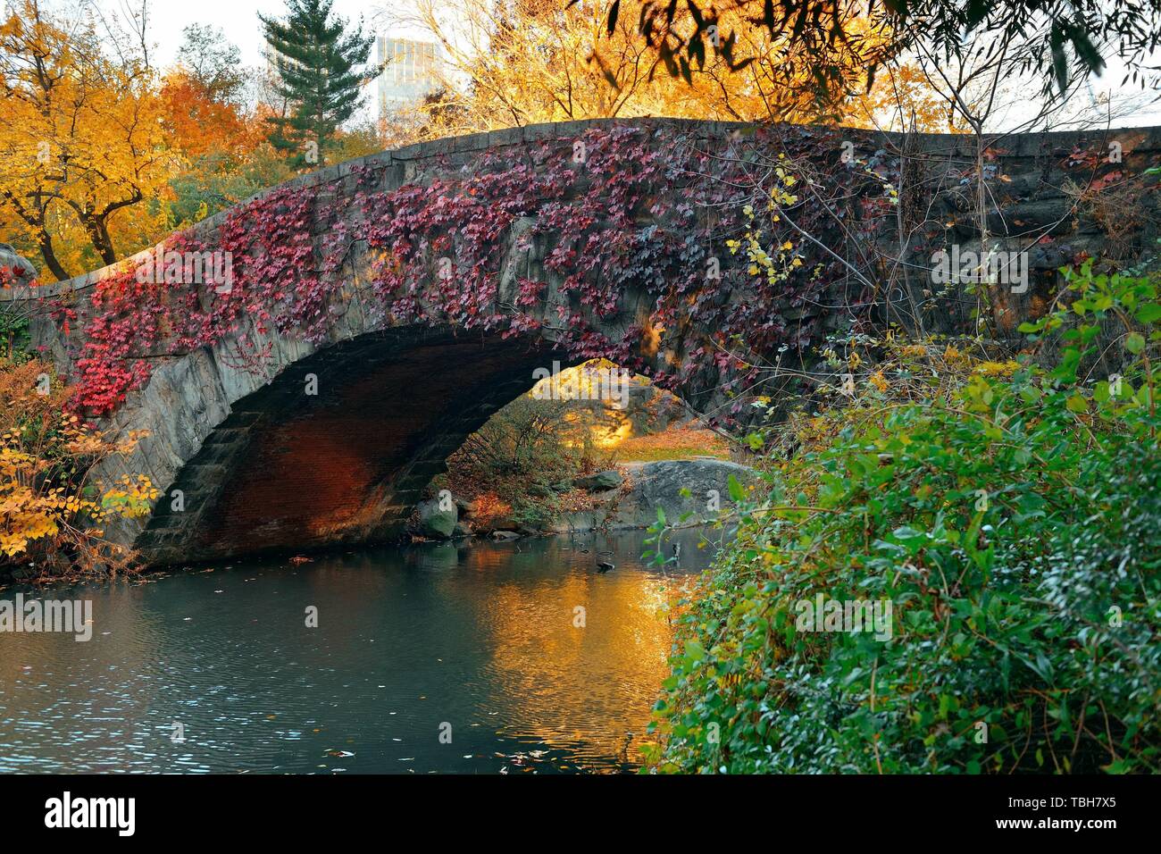Central Park Autumn with bridge in midtown Manhattan New York City ...