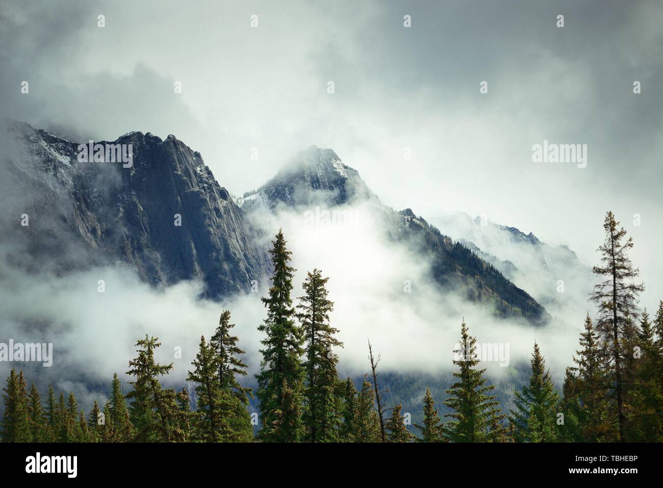 Misty mountain in Banff National Park Stock Photo