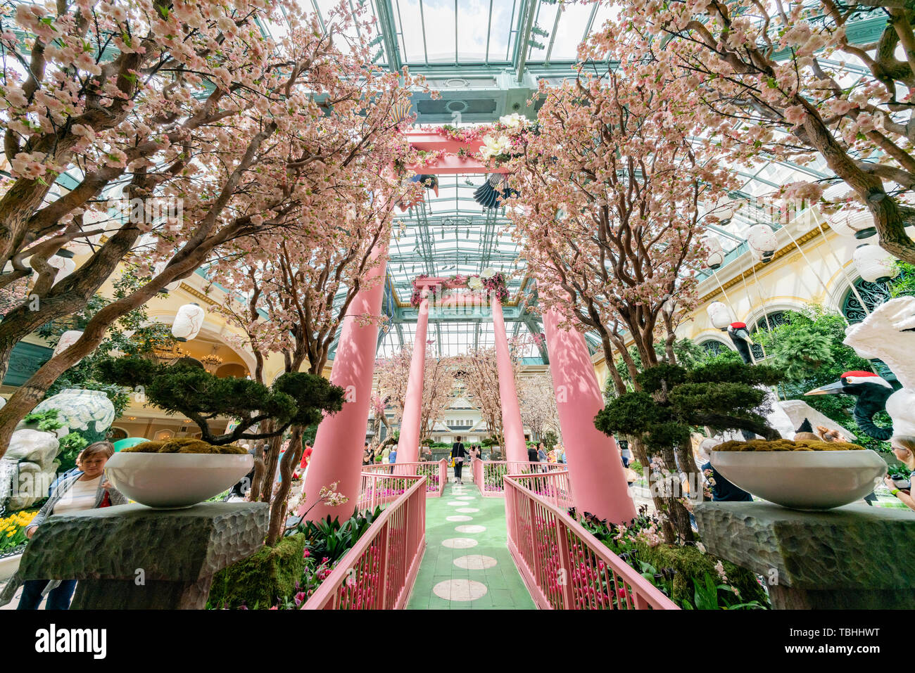 Las Vegas, APR 28 Special Japanese spring display in Bellagio