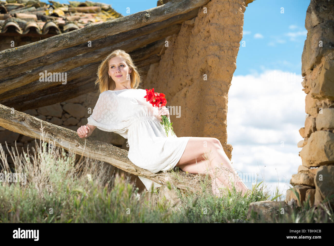 Beautiful woman wearing white dress sitting with poppies flowers in ...