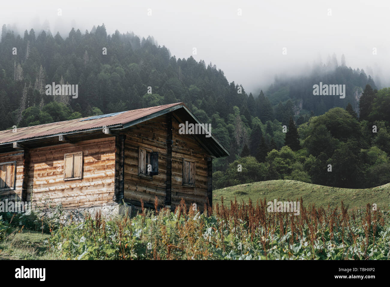 Wooden old bungalow house in nature with,mist and mountain. Rize, Turkey Stock Photo