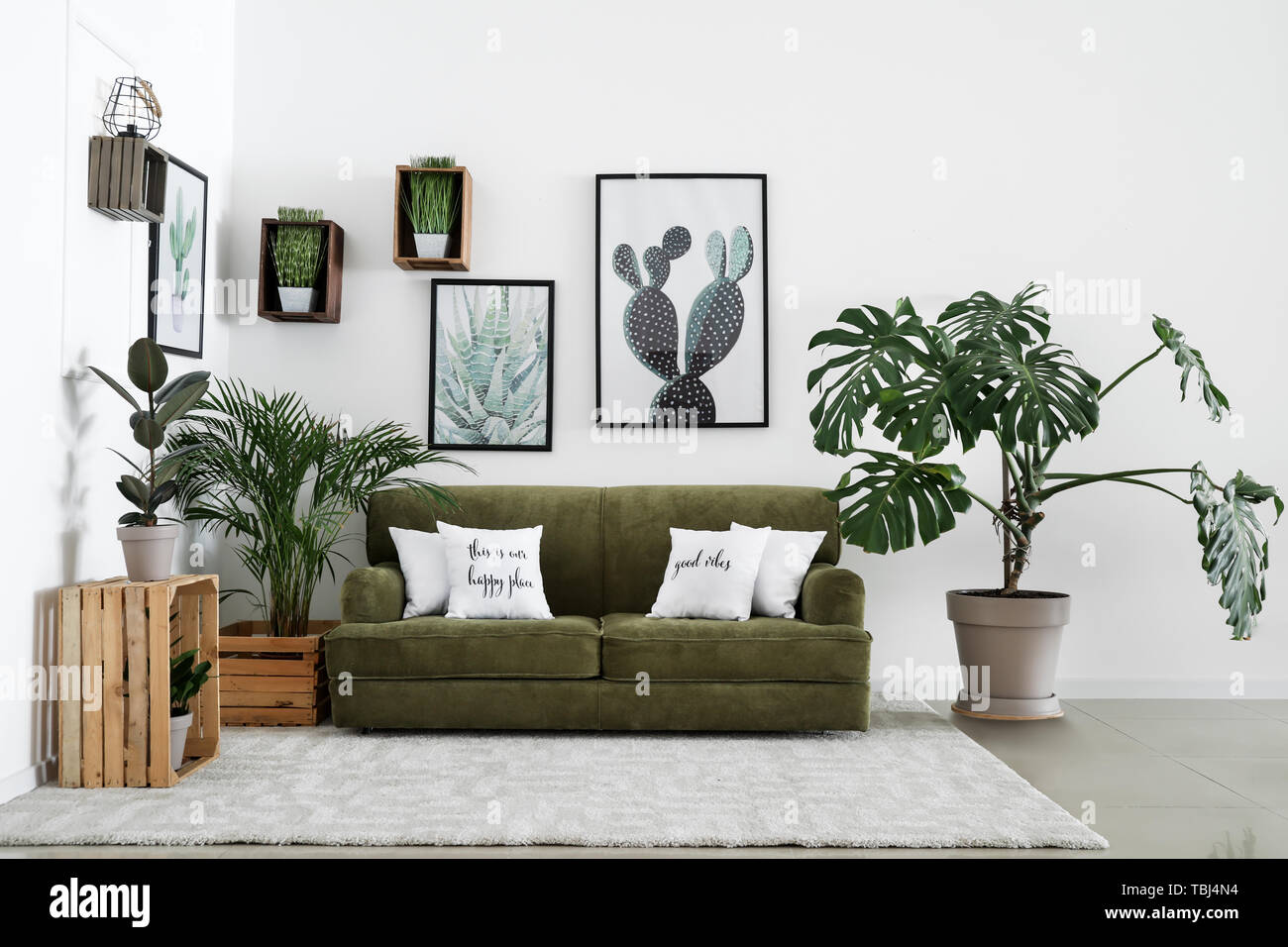 Interior of modern room with comfortable sofa and houseplants Stock ...