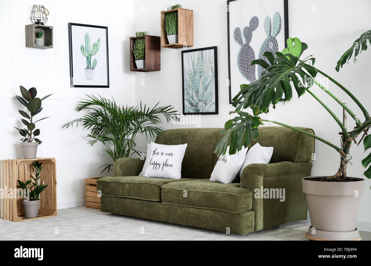 Interior of modern room with comfortable sofa and houseplants Stock ...