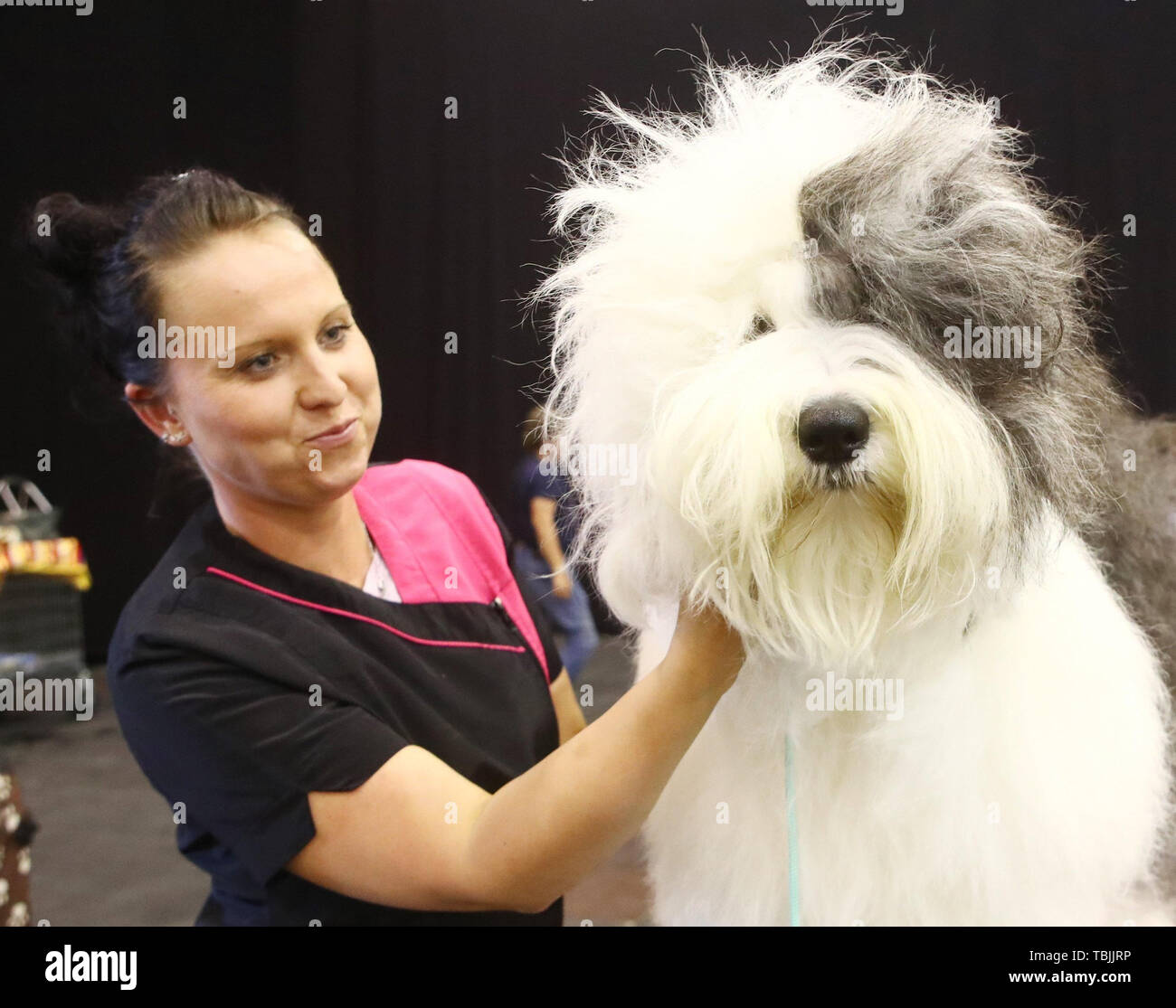 Akita americano y viejo pastor ingles!!!  Old english sheepdog, English  sheepdog, Dog lovers