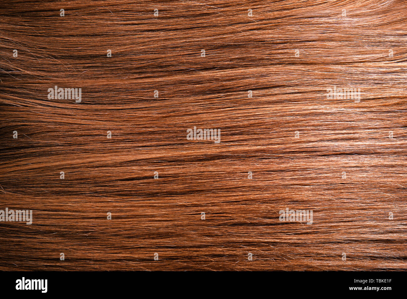 Healthy long female hair, closeup Stock Photo